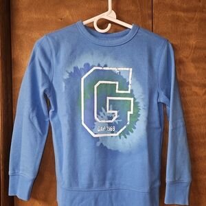 GAP Boys Medium Blue Sweater